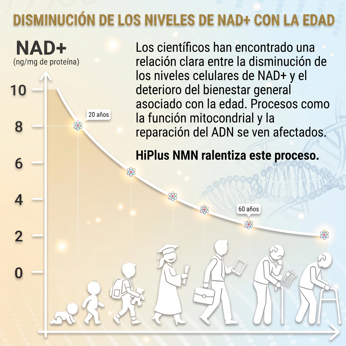 Hi Plus NMN Complex 1500MG - 15 en 1 Balance Celular en 120 Capsulas